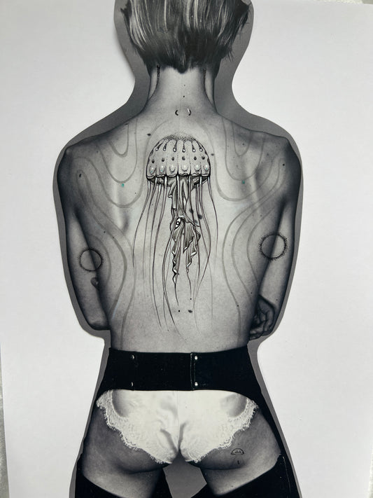 Jellyfish Back